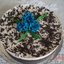 Шоколадный торт с батончиками Марс
