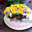Бисквитный торт с ягодами и живыми цветами